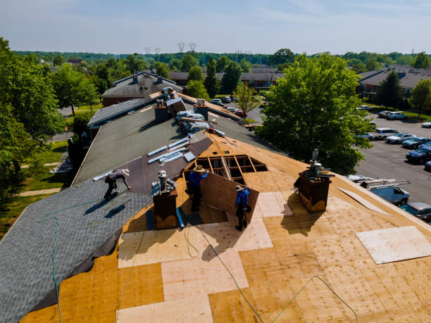 Trusted Flat Roof Repair service in Mount Carbon, WV - Brentwood Metal Roofing